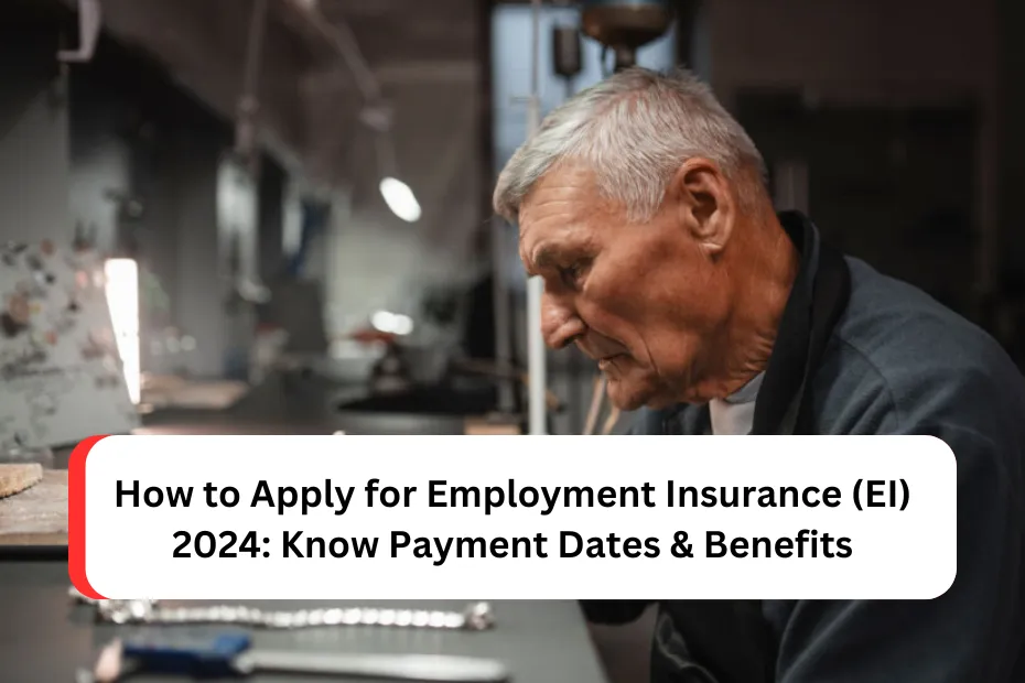 How to Apply for Employment Insurance (EI) 2024: Know Payment Dates & Benefits